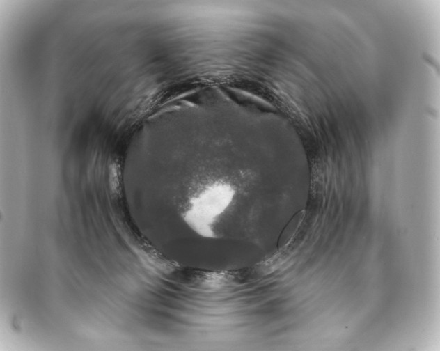 X0000095520130200712281509