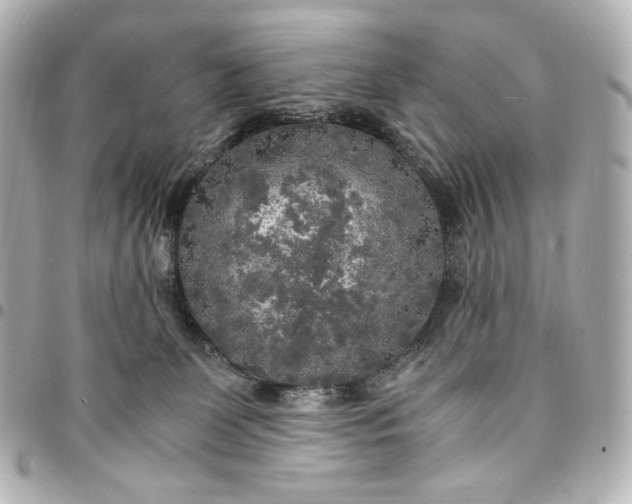 X0000095520131200712281509