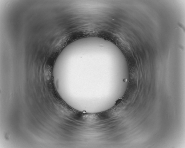 X0000095520133200712281509