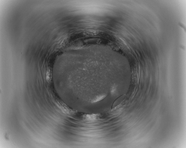 X0000095520134200712281509