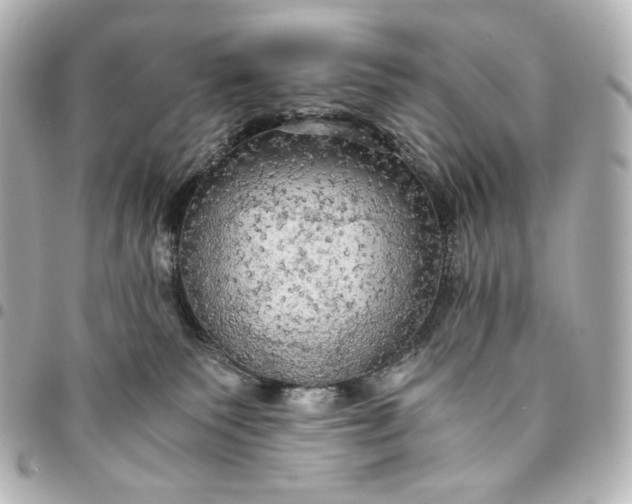 X0000095520135200712281509