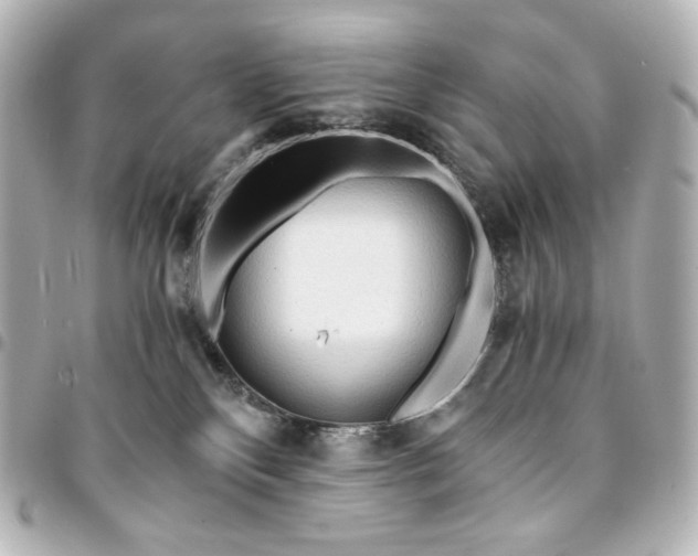 X0000095520136200712281509