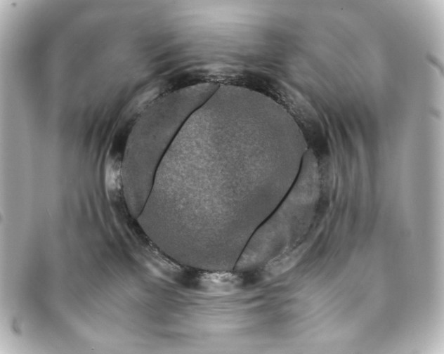 X0000095520137200712281508