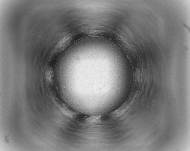 X0000095520138200712281508