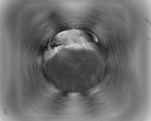 X0000095520139200712281508