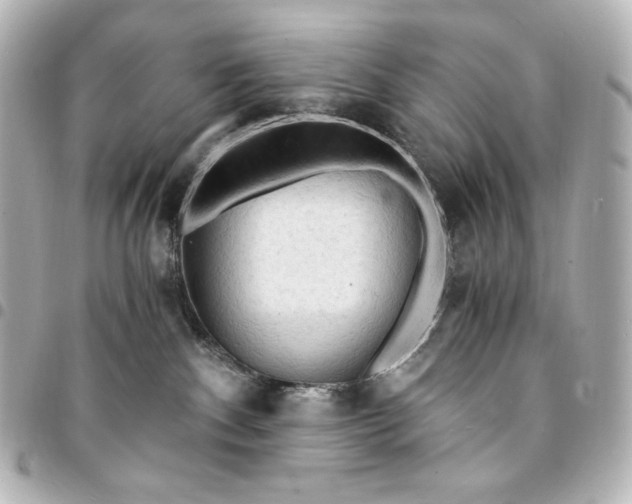 X0000095520140200712281508