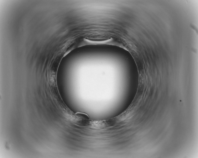 X0000095520141200712281508