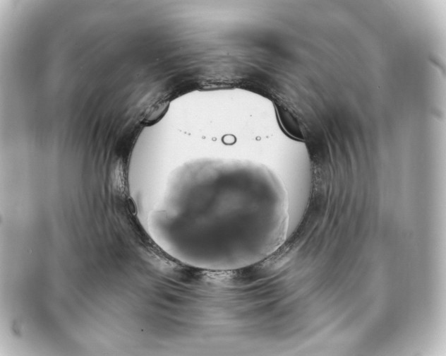 X0000095520143200712281508