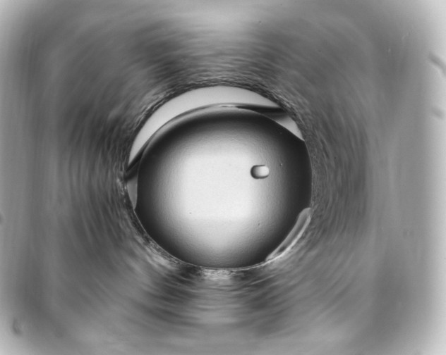 X0000095520144200712281508