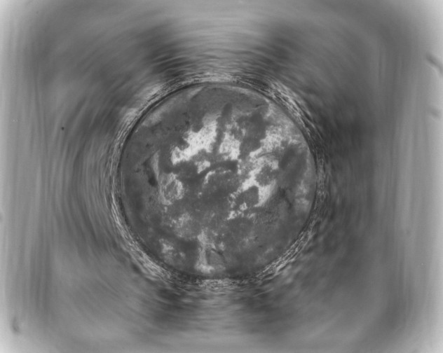 X0000095520145200712281508