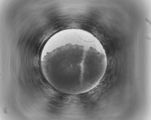 X0000095520146200712281508