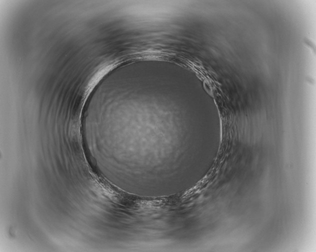 X0000095520147200712281508