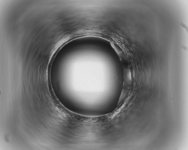 X0000095520148200712281508