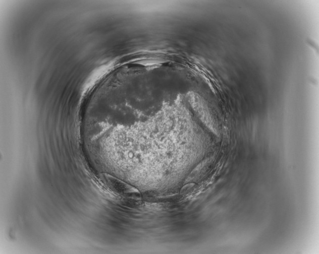 X0000095520149200712281508