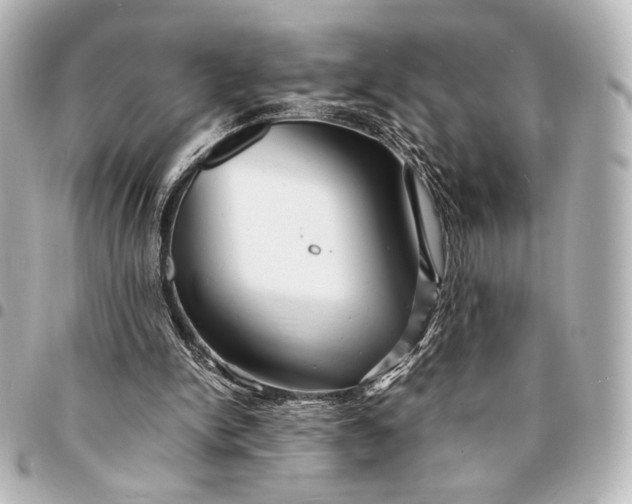 X0000095520150200712281508