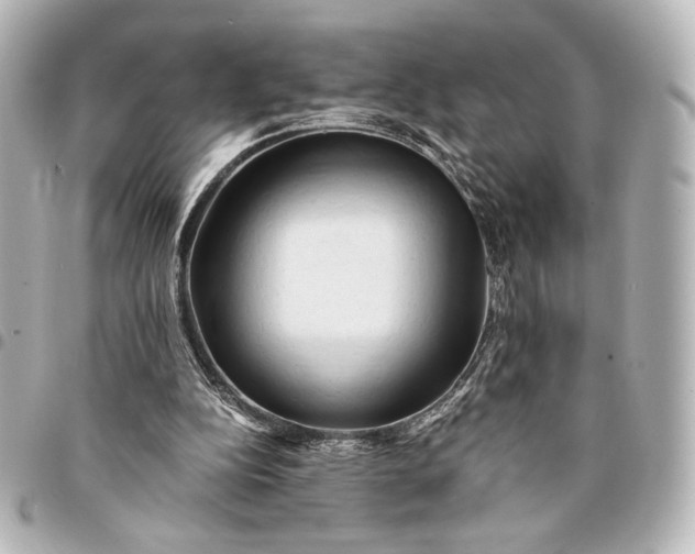 X0000095520152200712281508