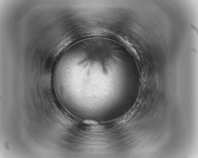 X0000095520154200712281508