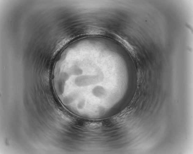 X0000095520155200712281508