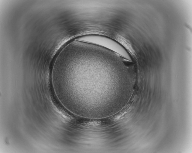 X0000095520156200712281508