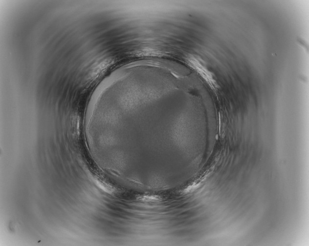 X0000095520157200712281508