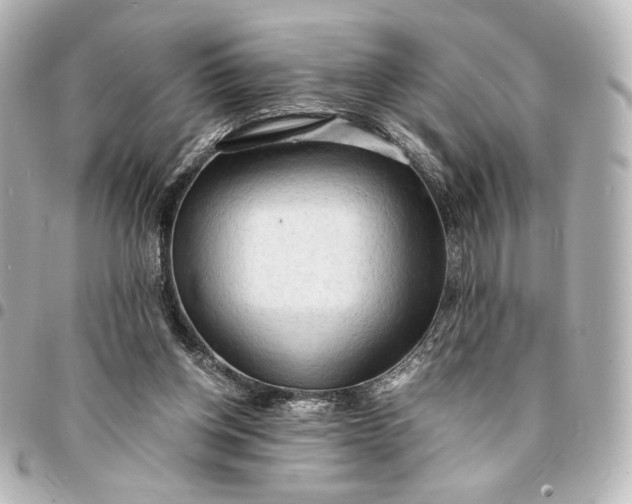 X0000095520158200712281508