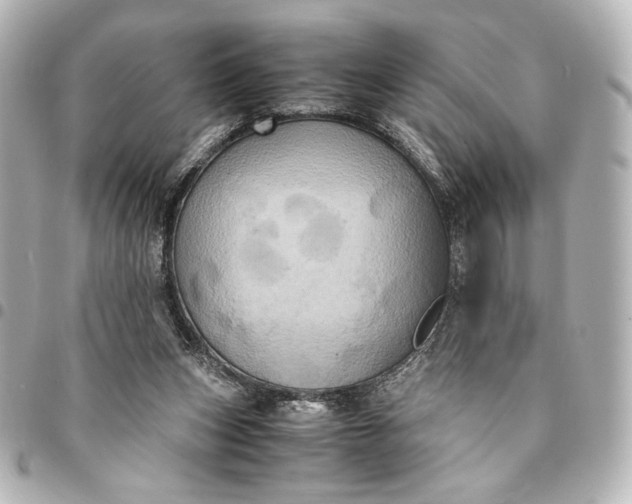 X0000095520159200712281508