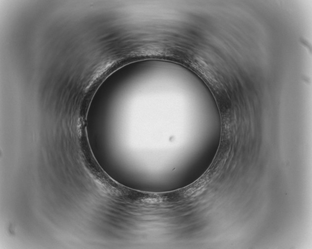 X0000095520160200712281508