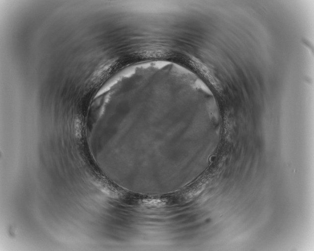 X0000095520161200712281508