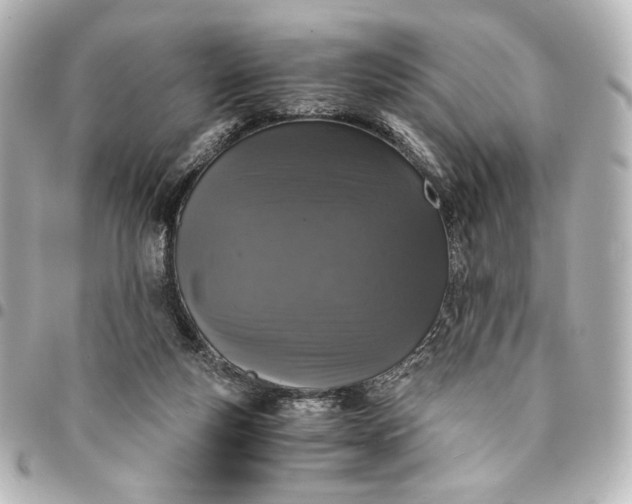 X0000095520163200712281508