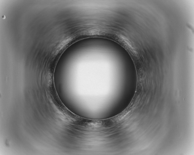 X0000095520164200712281508