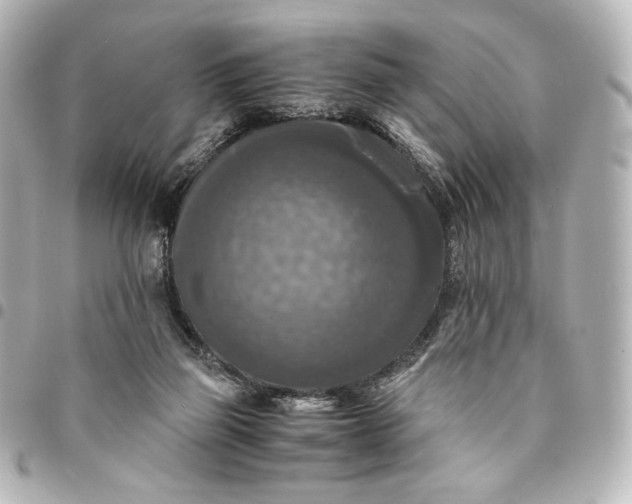 X0000095520165200712281508