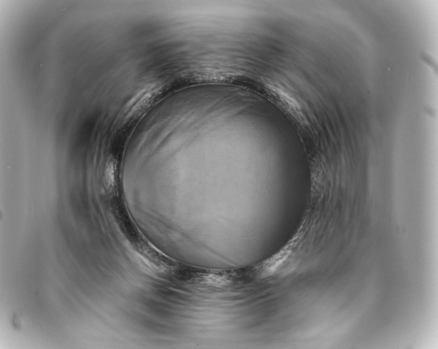 X0000095520166200712281508