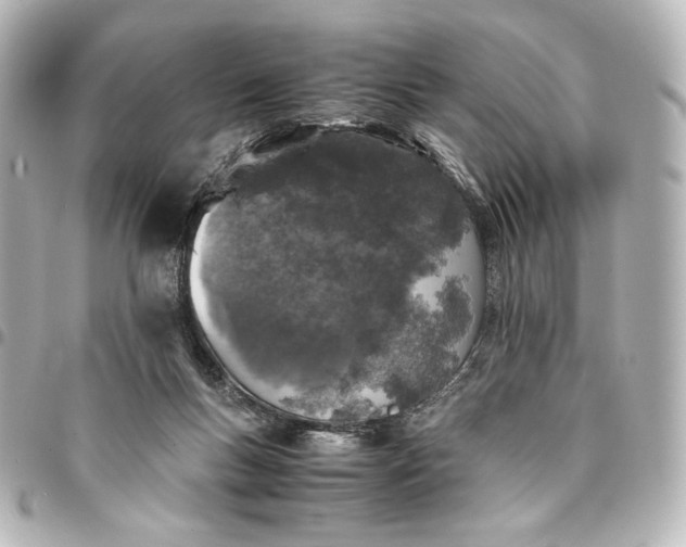 X0000095520167200712281508