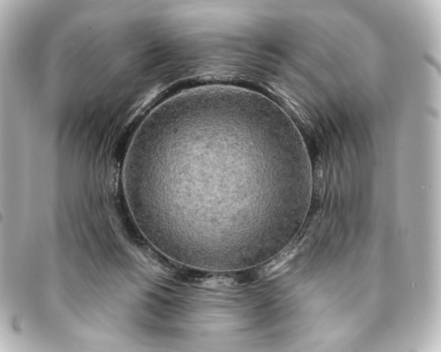 X0000095520168200712281508