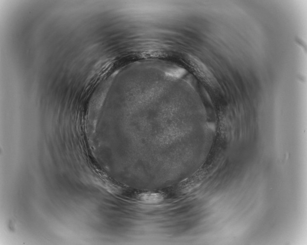 X0000095520169200712281508