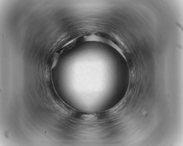 X0000095520170200712281508