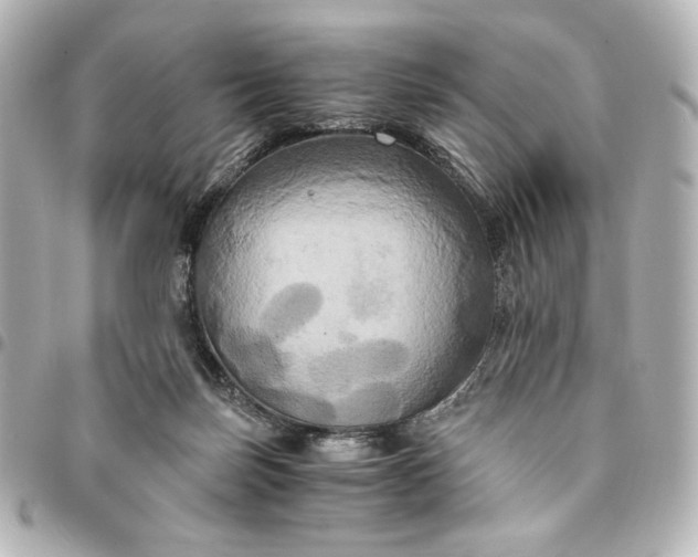 X0000095520171200712281508