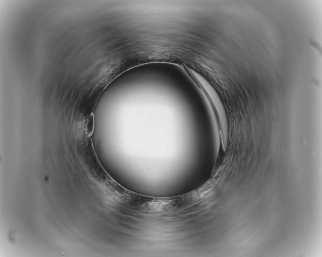 X0000095520172200712281508