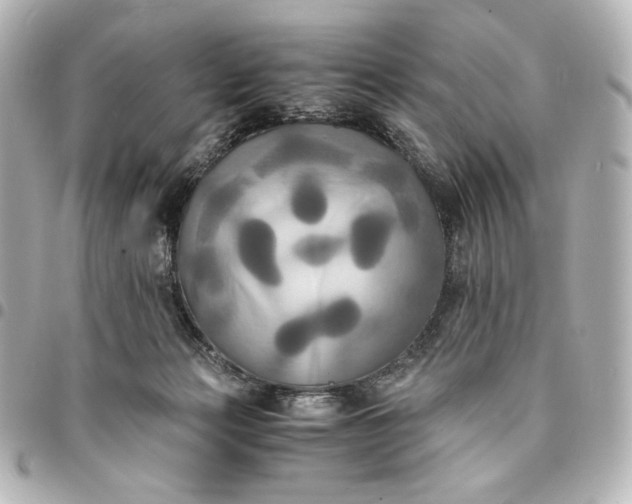 X0000095520173200712281508