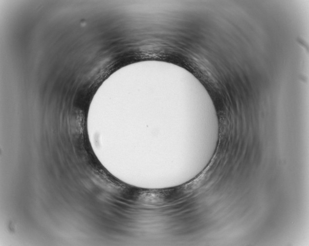 X0000095520174200712281508