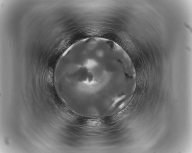 X0000095520175200712281508