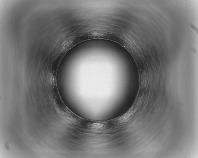 X0000095520176200712281508