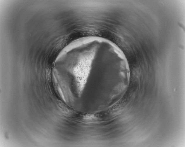 X0000095520177200712281508