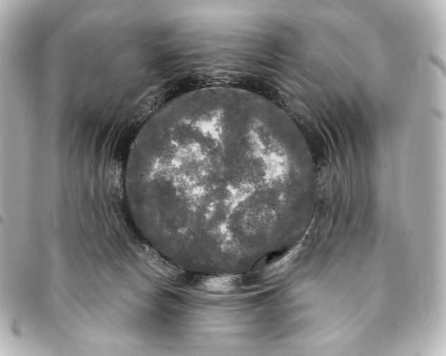 X0000095520178200712281508