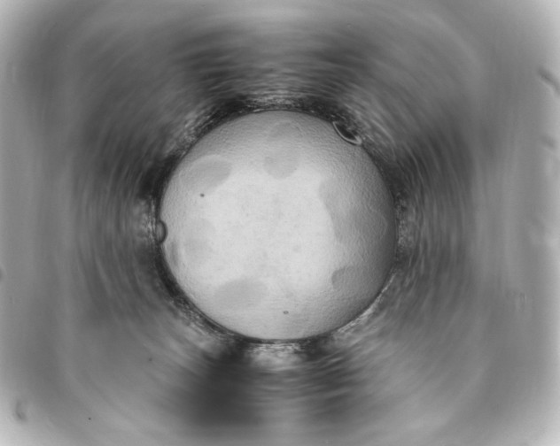 X0000095520179200712281508