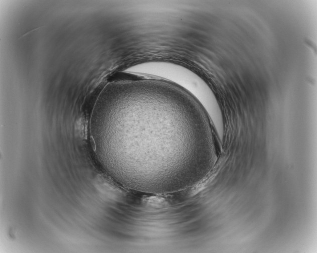 X0000095520180200712281508