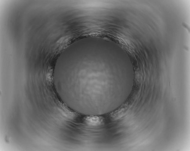 X0000095520181200712281508