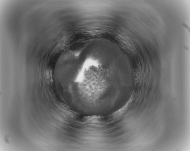 X0000095520182200712281508