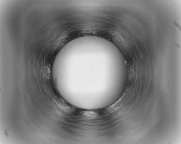 X0000095520183200712281508