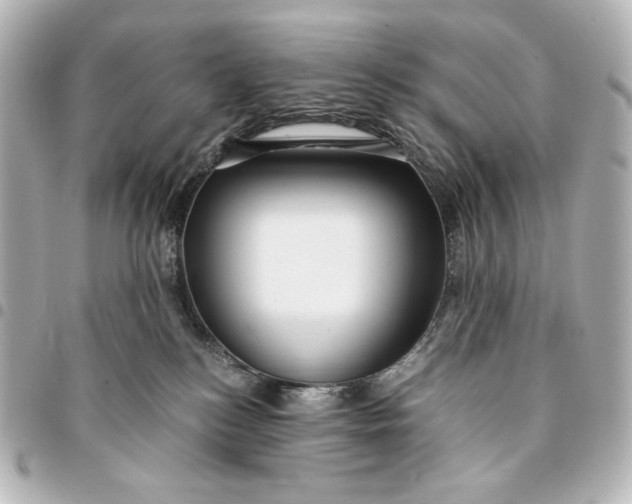 X0000095520184200712281508